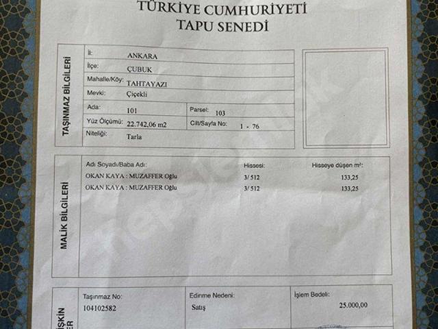 ÇUBUK TAHTAYAZI DA SATILIK HİSSELER
