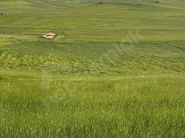 ÇUBUKYAZIR MAHALLESİNDE MANZARALI TEK TAPU TARLA