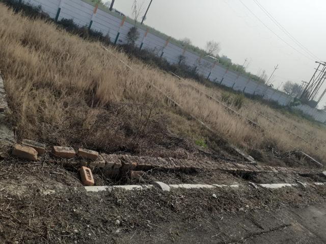 Uday Kunj 150 Sq.Yd. Plot in Modipuram Meerut Listing ID #8775