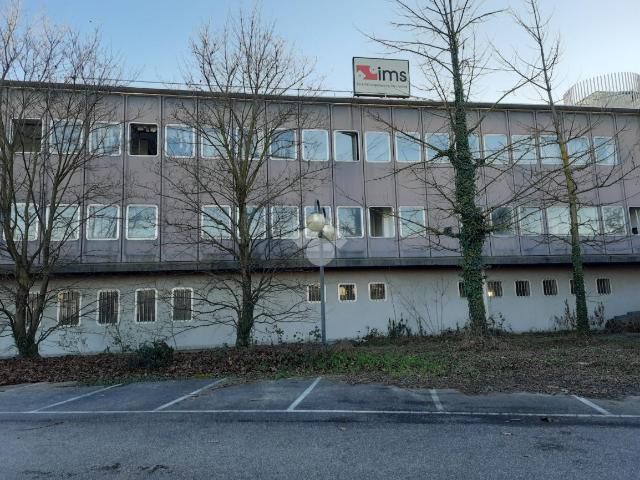 Ufficio in affitto a Caronno Pertusella