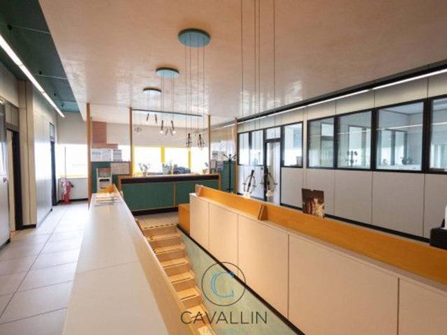 Ufficio in affitto a Montebelluna