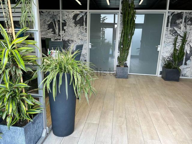 Ufficio in affitto di 200 m²