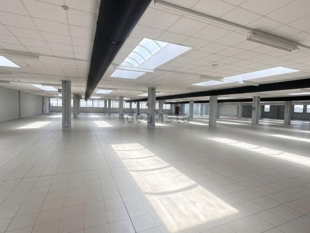 Ufficio in affitto di 500 m² in Via Bafile