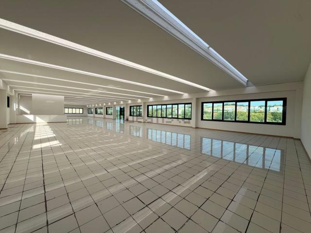 Ufficio in affitto di 750 m² in Via della Selva Grossa