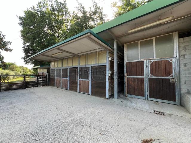 Ufficio in vendita di 6600 m² in Frazione Basilica