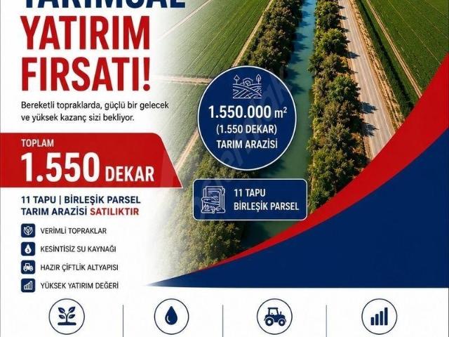 ÇUKUROVANIN KALBİNDE 1525 DEKAR STRATEJİK TARIM YATIRIMI