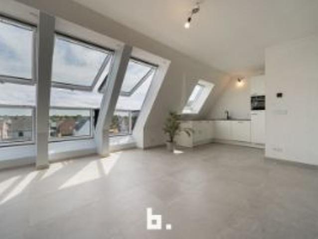 Uiterst energiezuinig modern dakappartement