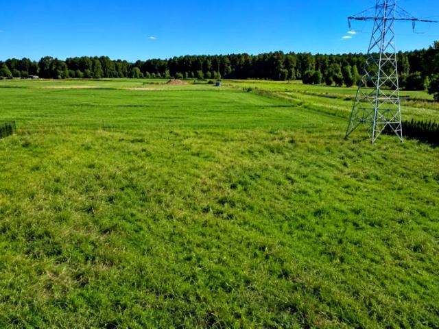 Ul. Brzoskwiniowa 1 266 m², Białystok