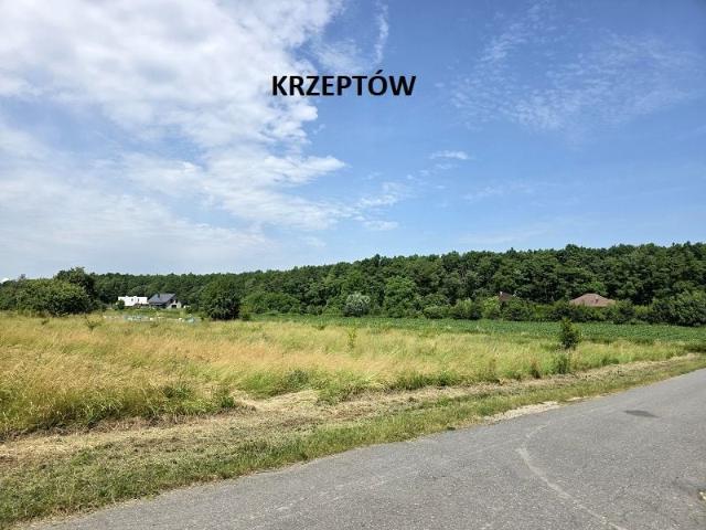 Ul. Dębowa 3 000 m², Krzeptów