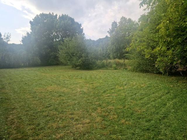 Ul. Głubczycka 623 m², Kędzierzyn Koźle