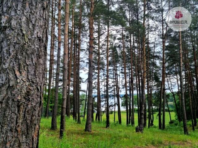 Ul. Leśna 8 887 m², Narty