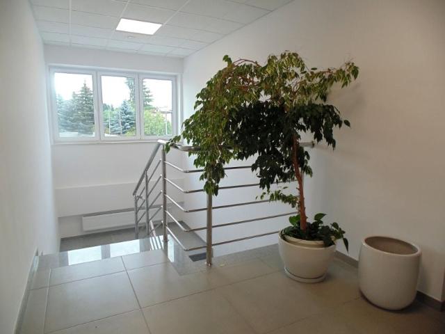 Ul. Reja 48 m², Rzeszów