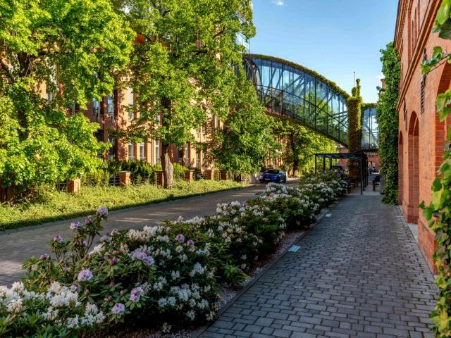 Ul. Stanisława Wyspiańskiego 86 m², Poznań