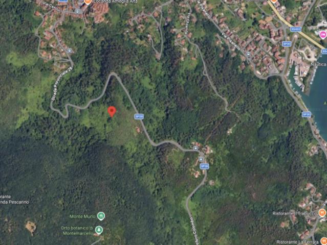 Uliveto in vendita a Ameglia