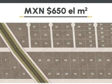 Últimos 10 lotes industriales en preventa Hunucmá, Yuc
