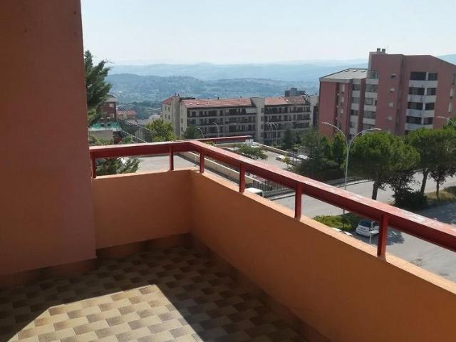 Ultima stanza in zona universitaria