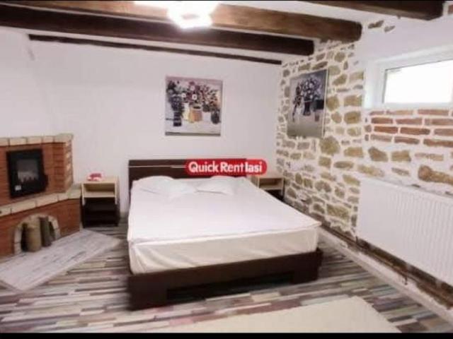 Ultracentral Independentei UMF /UAIC Apartament 1Camera 450eur