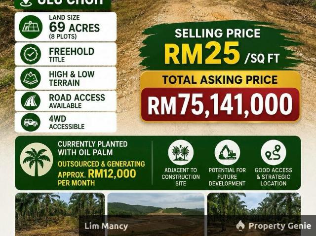 Ulu Choh Pekan Nanas Agriculture Land