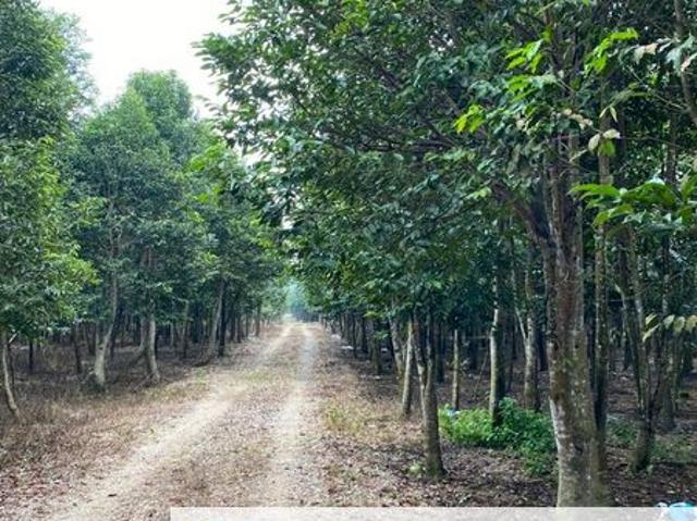 Ulu Tiram @ Johor 10 Acres+ Agricultural Land Zoning Industrial Land For Sale