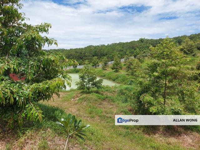 Ulu tiram jalan kota tinggi durian farm for sale