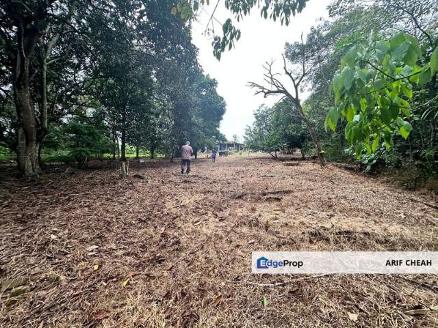 ULU TIRAM NEW VILLAGE