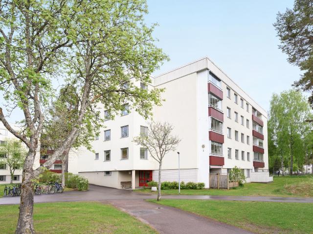 Ulvsmygen 3