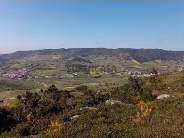 Terreno Rústico com NASCENTE e eletricidade no local | 10 min Torres Vedras