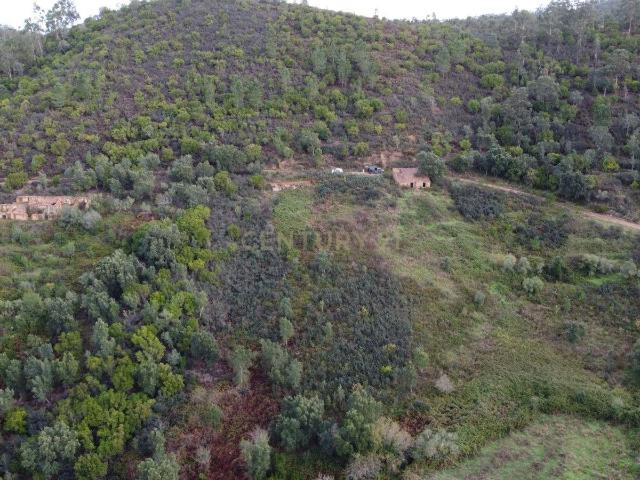 Um Refúgio Raro em Monchique – Onde o Silêncio Fala 80m² Monchique