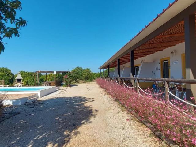 Uma Herdade de 3,3 Hectares no Algarve: Um Refúgio no Campo. 529m² Mexilhoeira grande