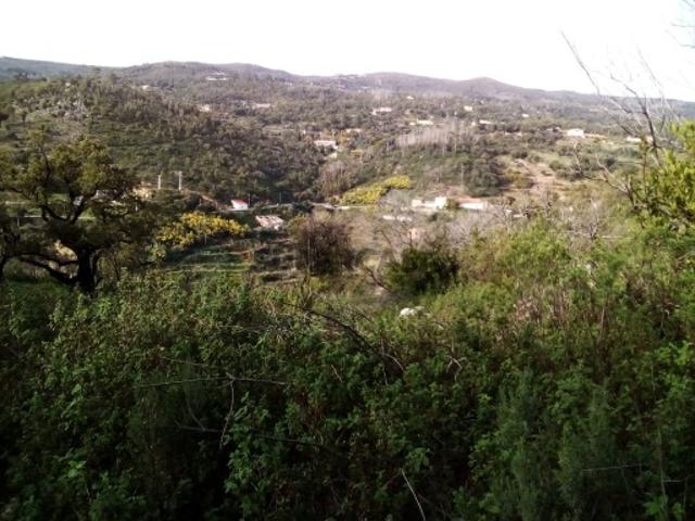 Uma moradia com ruina e terreno misto com área de 73320m2 e com Ribeira Incluída com Excelente Vista