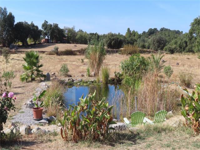 Uma maravilhosa e verdadeiramente única Quinta Biológica, tem uma área total de 43.000 m² e uma Casa Legal pronta a habitar com 125m2. O Organic é totalmente cercado e murado em todo o seu perímetro. Existe uma piscina natural com capacidade para 7000m3 de água que serve de ecossistema para plantas e animais. Esta propriedade é energética 100% autossuficiente, pois possui 30 painéis solares e 7 baterias grandes