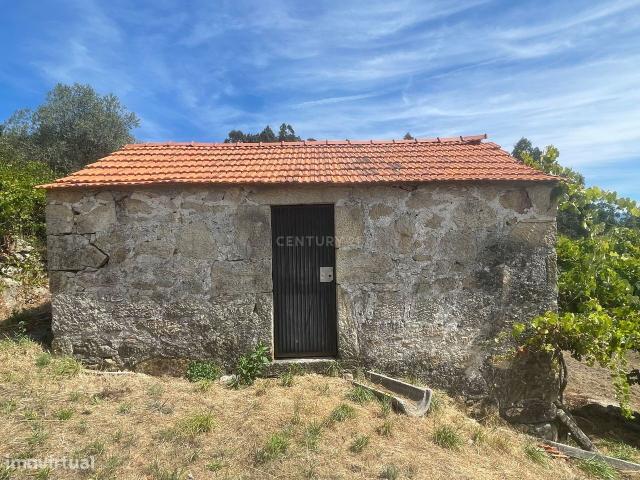 Uma propriedade rural de 1,5 hectares situada em Oliveira de Frades, q