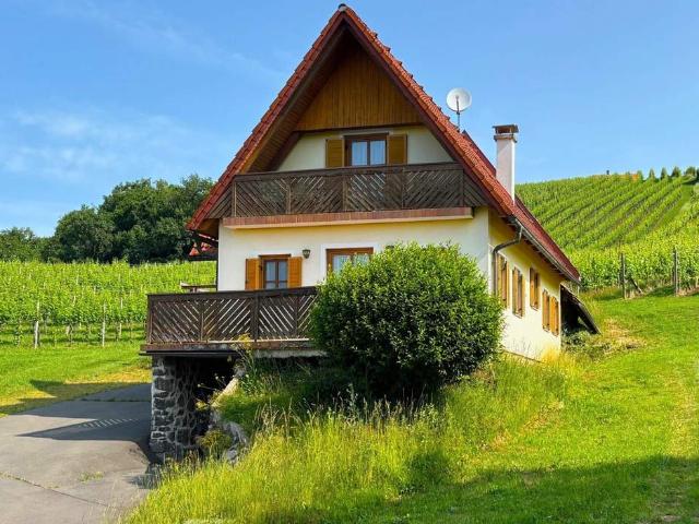 Umgebautes Kellerstöckl mit 3 Wohneinheiten, Terrasse, Balkon, Keller und Weingarten in Aussichtslage