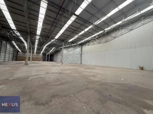 Ümraniye Düz Giriş 1500 M2 Depo Ve İş Yeri