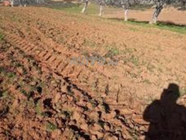 Un terrain agricole en vente