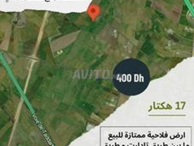 Un terrain d'excellence entre Taddart et Mediouna