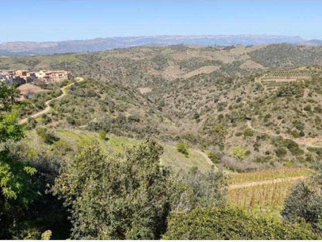 Un Viñedo Boutique en el Priorat – Cree su propio vino de autor