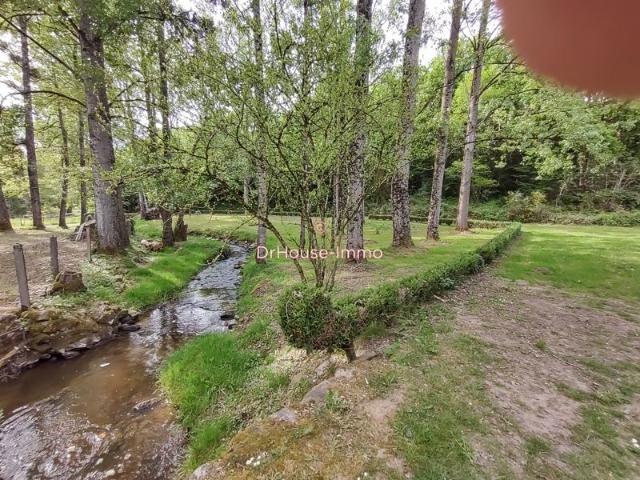 Un coin de paradis: 8OOO m2 terrain, ruisseau, maison