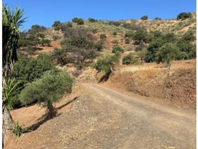 Un cortijo entre olivos y montañas, a 50 minutos de Málaga