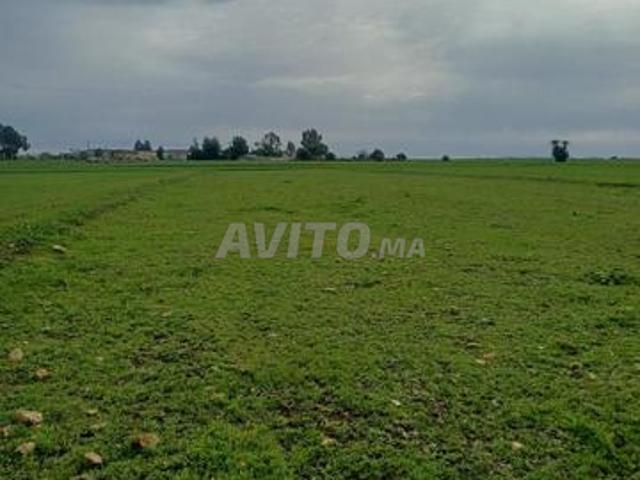 Un demi hectare près de la station de péage Ain Chkoka