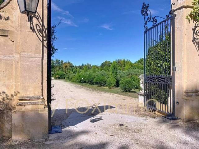 Un domaine d'exception au cœur des Alpilles