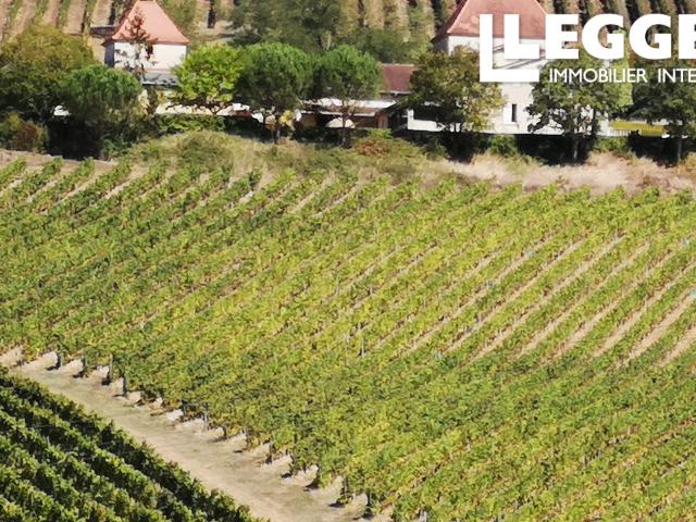 Un emplacement de rêve ! Vignes tout autour, vue imprenable sur les collines et les montagnes à l'horizon