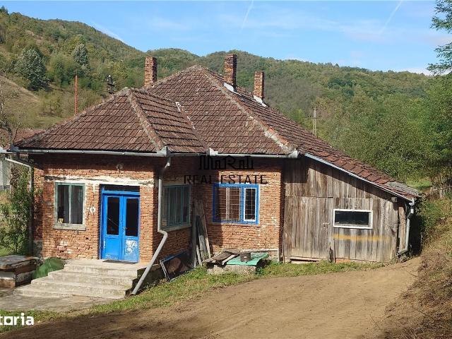 Un hectar de teren si casa langa padure. Proprietate deosebita in Dumb