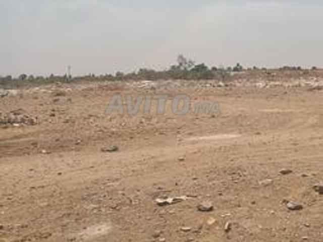 Un Hectare sd1 à vendre route amzmiz