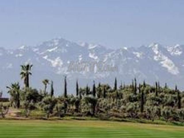 Un hectare Titré SD1 à vendre route d’amezmiz