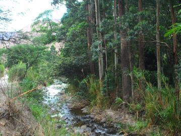 Un Oasis Retirado de Pura Tranquilidad Junto al Río