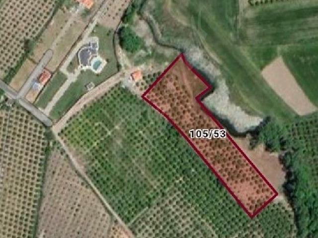 ÜNOĞLU'DAN SATILIK NARENCIYE BAHCESI 8400MKARE