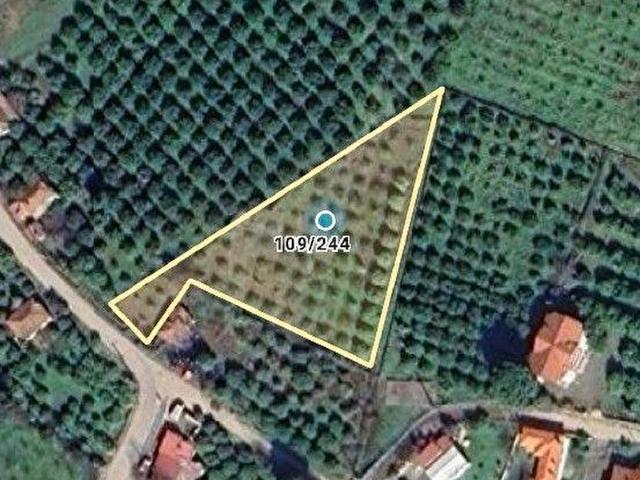 ÜNOĞLU'NDAN SATILIK KÖY İÇİ BAHÇE
