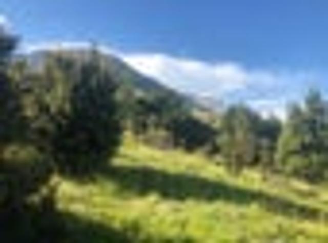 Unobstructed views