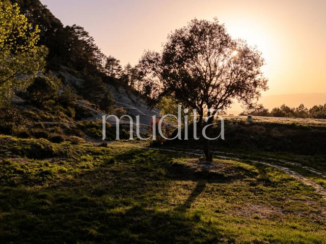 Una finca con alma en Osona, una oportunidad singular en Barcelona